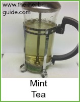 mint tea in a cafetière