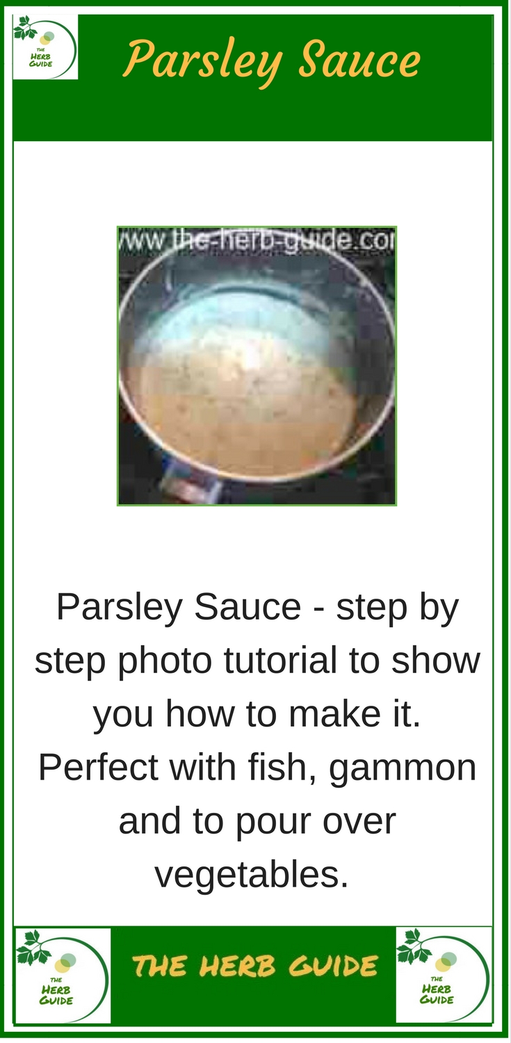 Parsley Sauce