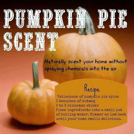 pumpkin pie scent recipe pumpkin pie scent recipe