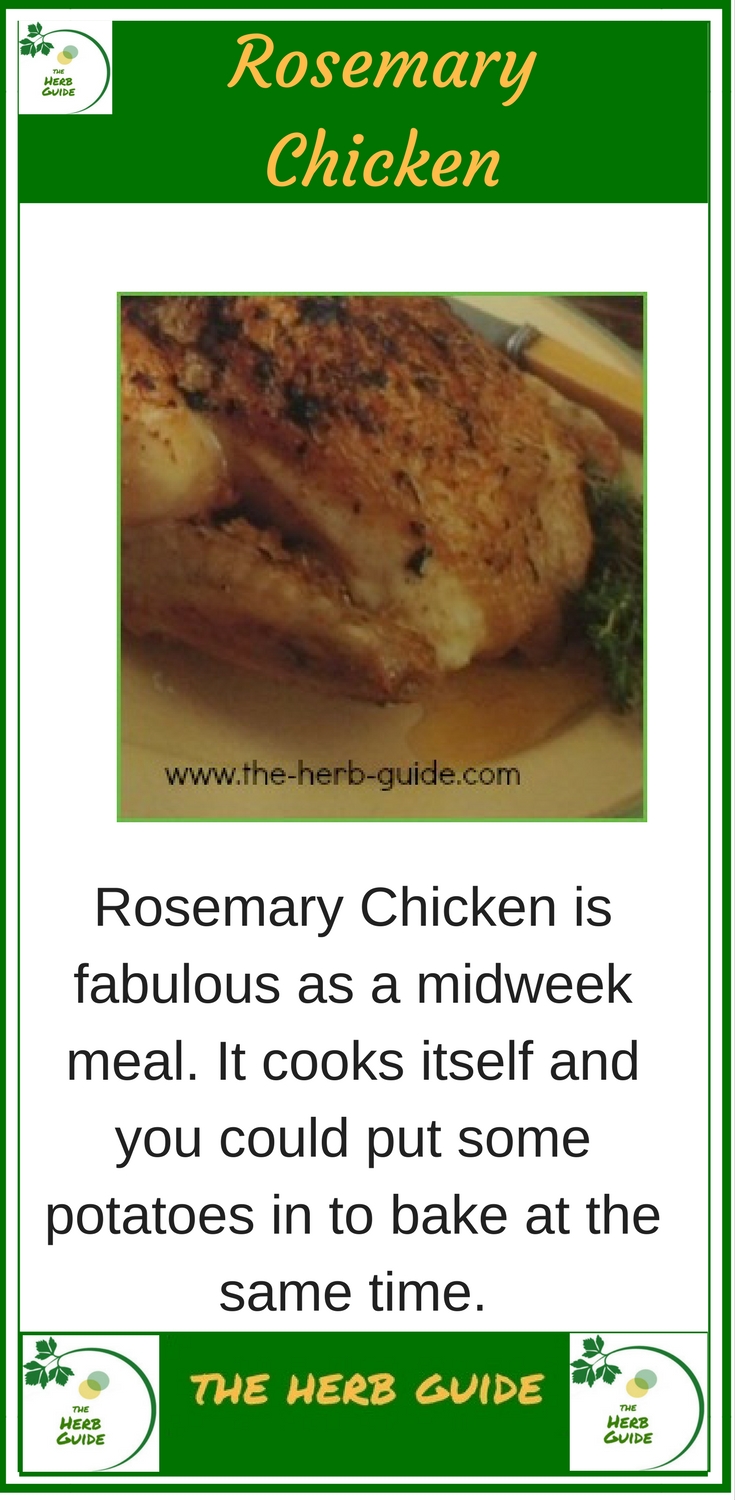 rosemary chicken