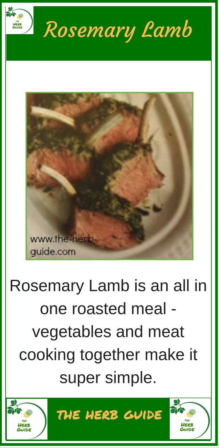 rosemary lamb cutlets on a plate