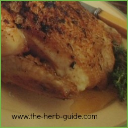 Rosemary Chicken Recipe