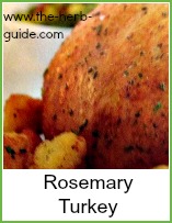 cooked rosemary turkey on a serving dish