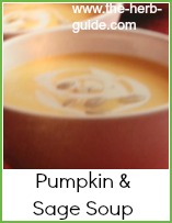 pumpkin and sage soup in a bowl