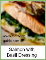salmon with basil dressing
