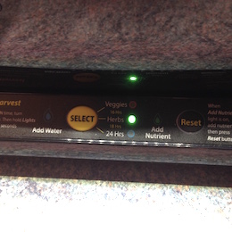 setting the timer on the Aerogarden