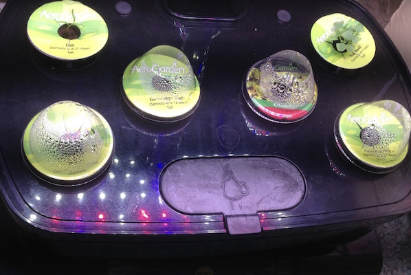 Aerogarden with pods