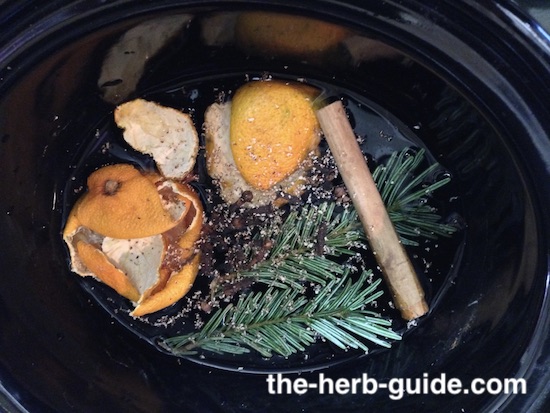 Apple Cinnamon Potpourri Crock Pot Recipe - Get Green Be Well