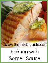 salmon with sorrel sauce