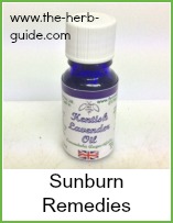 lavender essential oil