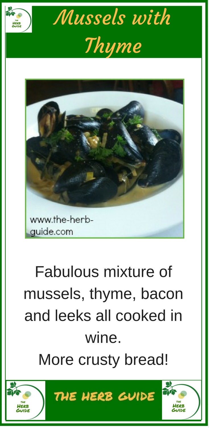 Thyme Recipe, Mussels with Leek and Bacon
