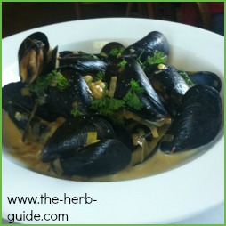 Mussels and Thyme Recipe