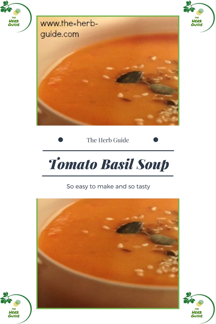 tomato basil soup