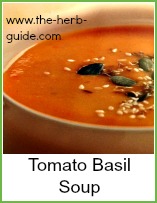 tomato basil soup