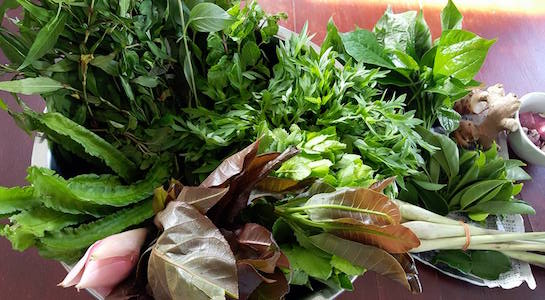 Herbs for nasi-ulam Herbs for nasi-ulam