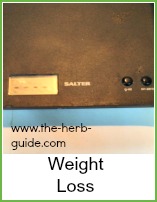 weighing scales