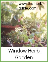 herbs for a window garden
