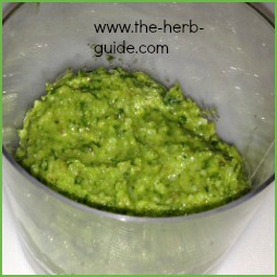 Basil Pesto Recipe