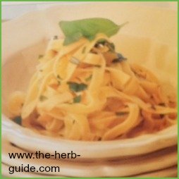 Garlic Chicken Pasta Recipe