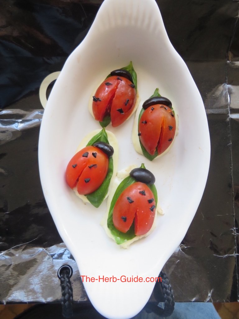 Ladybug Salad Bites