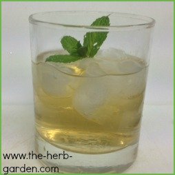 Mint Julep Recipe