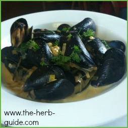 Mussels and Thyme Recipe