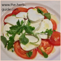 Tomato and Basil Salad